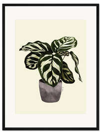 Gerahmter Kunstdruck Calathea-Pflanze