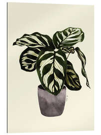 Gallery print Calathea plant