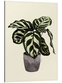 Magnettafel Calathea-Pflanze