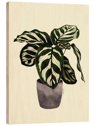 Holzbild Calathea-Pflanze