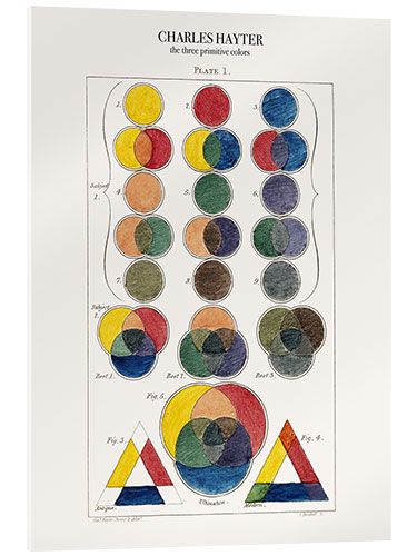 Quadro em acrílico The three primitive colors and their descendants (1826)