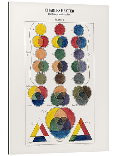 Aluminium print The three primitive colors and their descendants (1826)