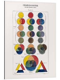 Aluminium print The three primitive colors and their descendants (1826)