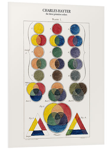 Foam board print The three primitive colors and their descendants (1826)