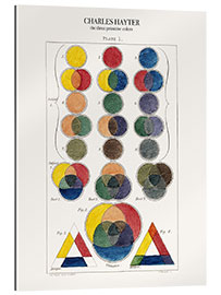 Gallery print The three primitive colors and their descendants (1826)