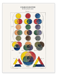 Print  The three primitive colors and their descendants (1826) - Michael Chevreul