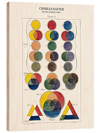 Wood print The three primitive colors and their descendants (1826)