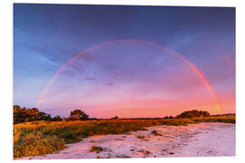 Foam board print Rainbow on the beach