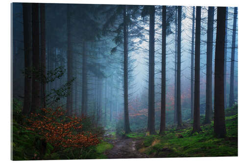 Acrylic print The valley of trees