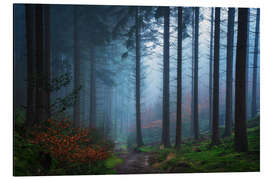 Magnettafel Das Tal der Bäume