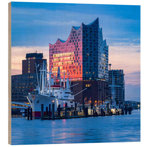 Wood print Elbphilharmonie at sunrise