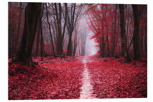 Foam board print Scarlet Fall