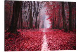 Gallery print Scarlet Fall