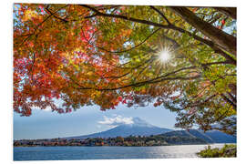 Tableau en PVC Autumn at Lake Kawaguchi in front of Mount Fuji