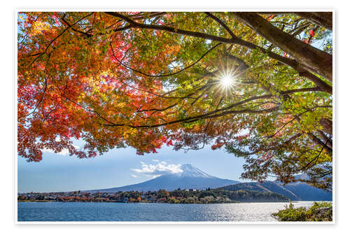 Poster Autumn at Lake Kawaguchi in front of Mount Fuji