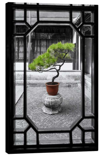 Leinwandbild Bonsai Baum
