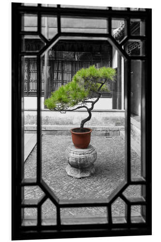 Tableau en PVC Un bonsai