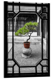 Gallery Print Bonsai Baum