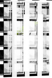 Magnettafel Bonsai Baum