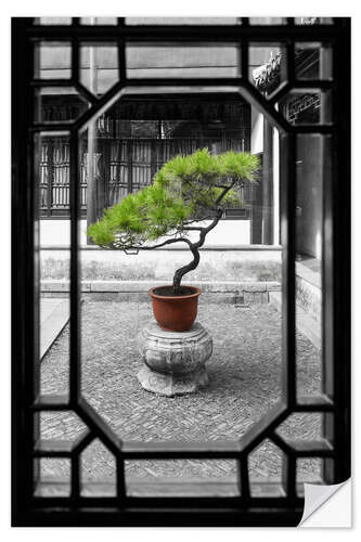 Wall sticker Bonsai tree