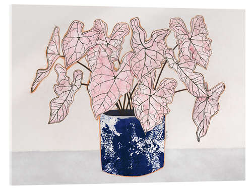 Akrylbillede Caladium Spring Fling plant
