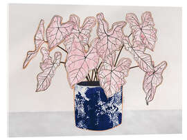 Acrylglas print Caladium Spring Fling plant