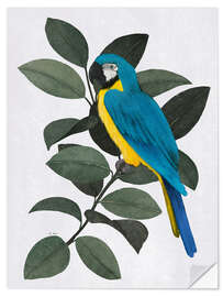 Wall sticker Blue parrot