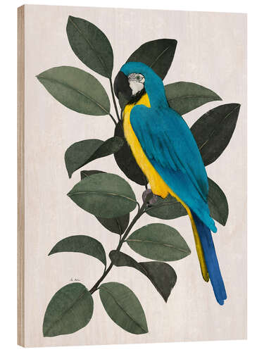 Wood print Blue parrot