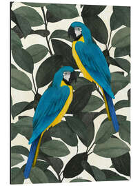 Tableau en aluminium Parrots in the jungle