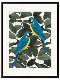 Plakat artystyczny premium w ramie Parrots in the jungle