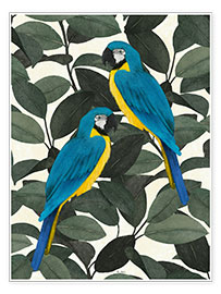 Poster Parrots in the jungle