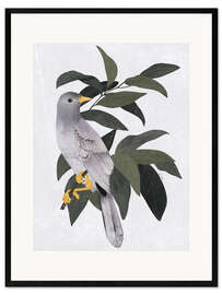 Framed art print Dove in the forest