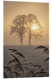 Quadro em acrílico A couple at sunrise - Martin Podt