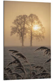 Tableau en aluminium A couple at sunrise