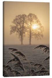 Obraz na płótnie A couple at sunrise - Martin Podt