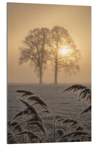 Tableau en plexi-alu A couple at sunrise