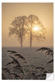 Autocolante decorativo A couple at sunrise