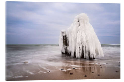 Acrylglasbild Buhne an der Ostseeküste bei Kühlungsborn im Winter