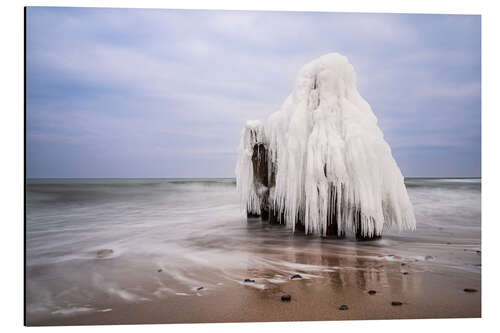 Aluminiumsbilde Groyne on the Baltic coast near Kühlungsborn in winter