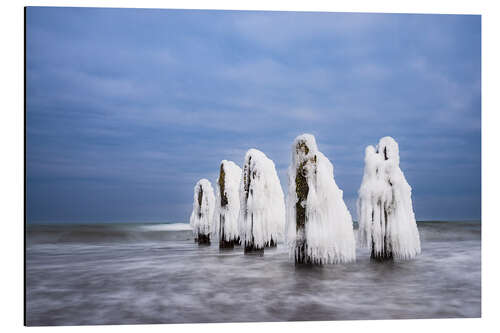 Aluminiumsbilde Groynes on the Baltic coast near Kühlungsborn in winter