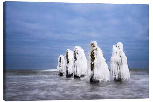 Canvas print Groynes on the Baltic coast near Kühlungsborn in winter