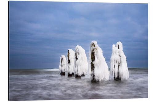 Galleritryck Groynes on the Baltic coast near Kühlungsborn in winter