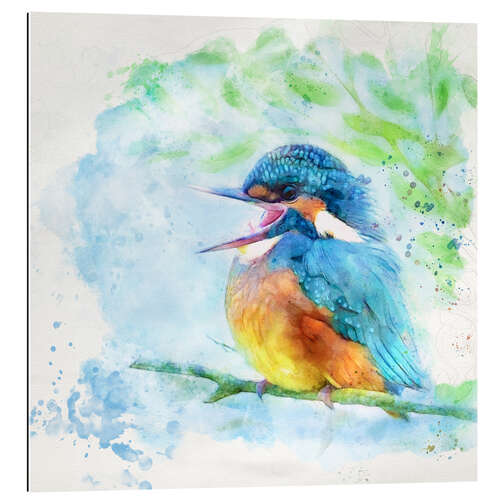 Quadro em plexi-alumínio Happy kingfisher