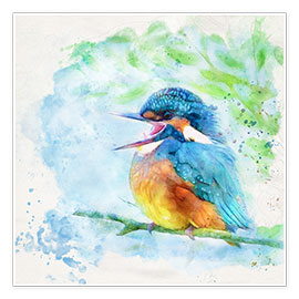 Wall print  Happy kingfisher - Photoplace Creative