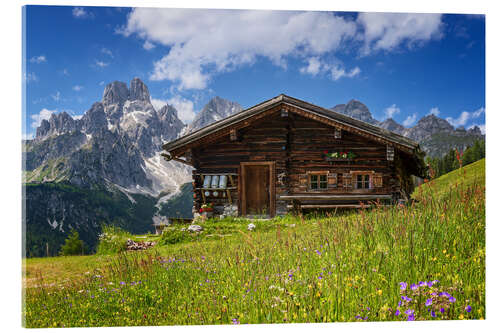 Acrylic print Flower meadow in the Alps