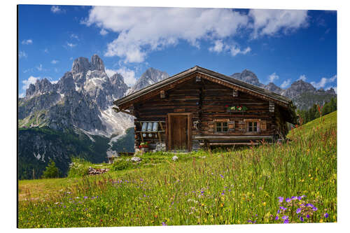 Aluminiumsbilde Flower meadow in the Alps