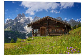 Aluminiumtavla Flower meadow in the Alps