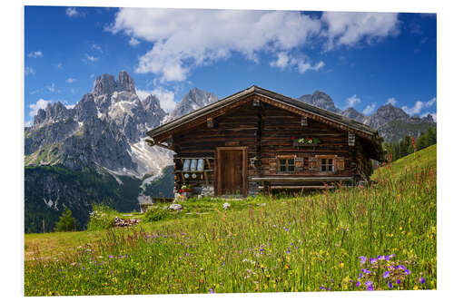 PVC-tavla Flower meadow in the Alps