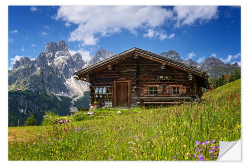 Wall sticker Flower meadow in the Alps