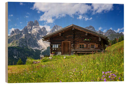 Trebilde Flower meadow in the Alps